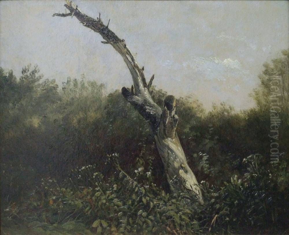 Baumstudie Oil Painting by Carl Gustav Carus