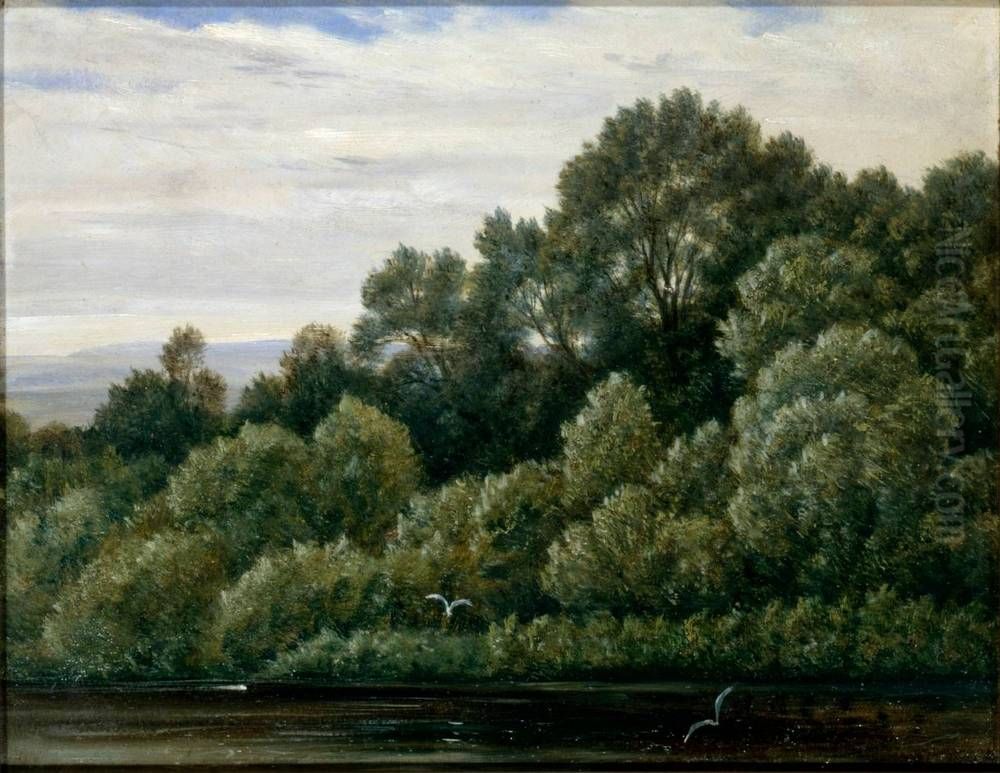 Pfaueninsel (Peacock Island) near Pillnitz Oil Painting by Carl Gustav Carus