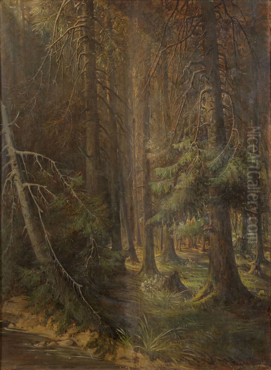 Forest Oil Painting by Julie Wilhelmine Hagen-Schwarz