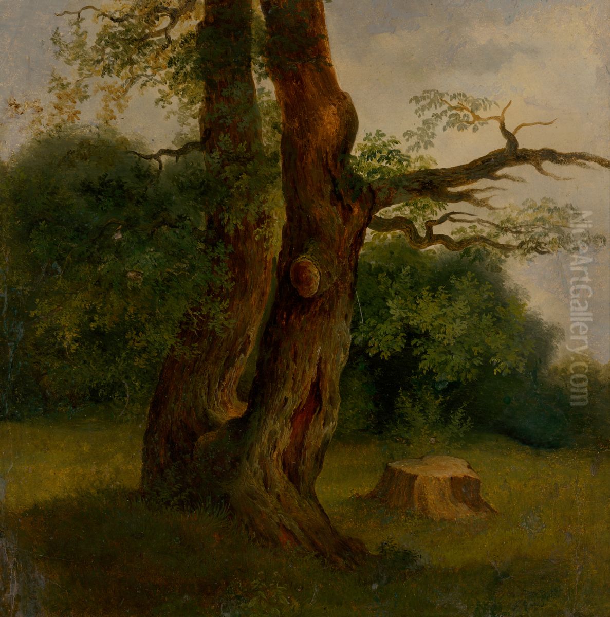 Studia listnateho stromu Oil Painting by Jozef Bozetech Klemens