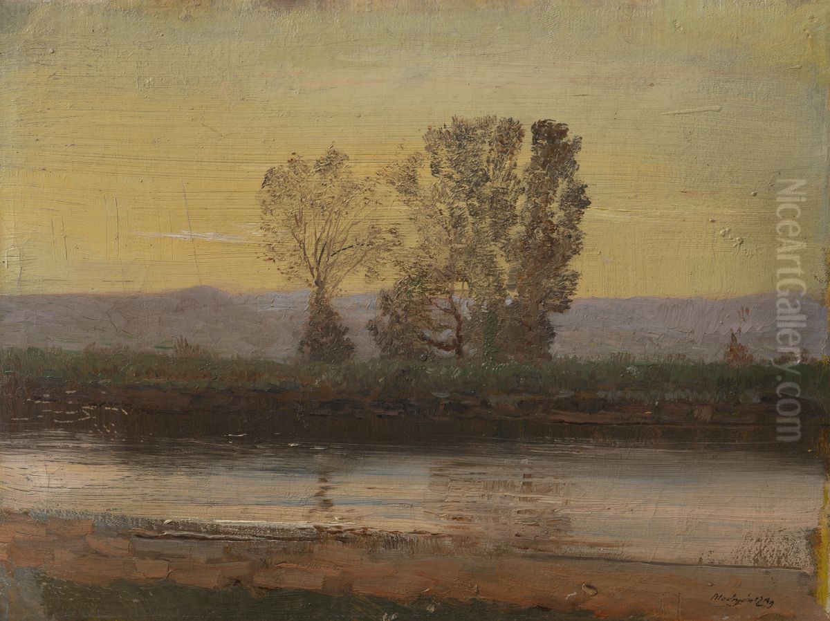 Landscape at Twilight with River and Cluster of Trees Oil Painting by Laszlo Mednyanszky