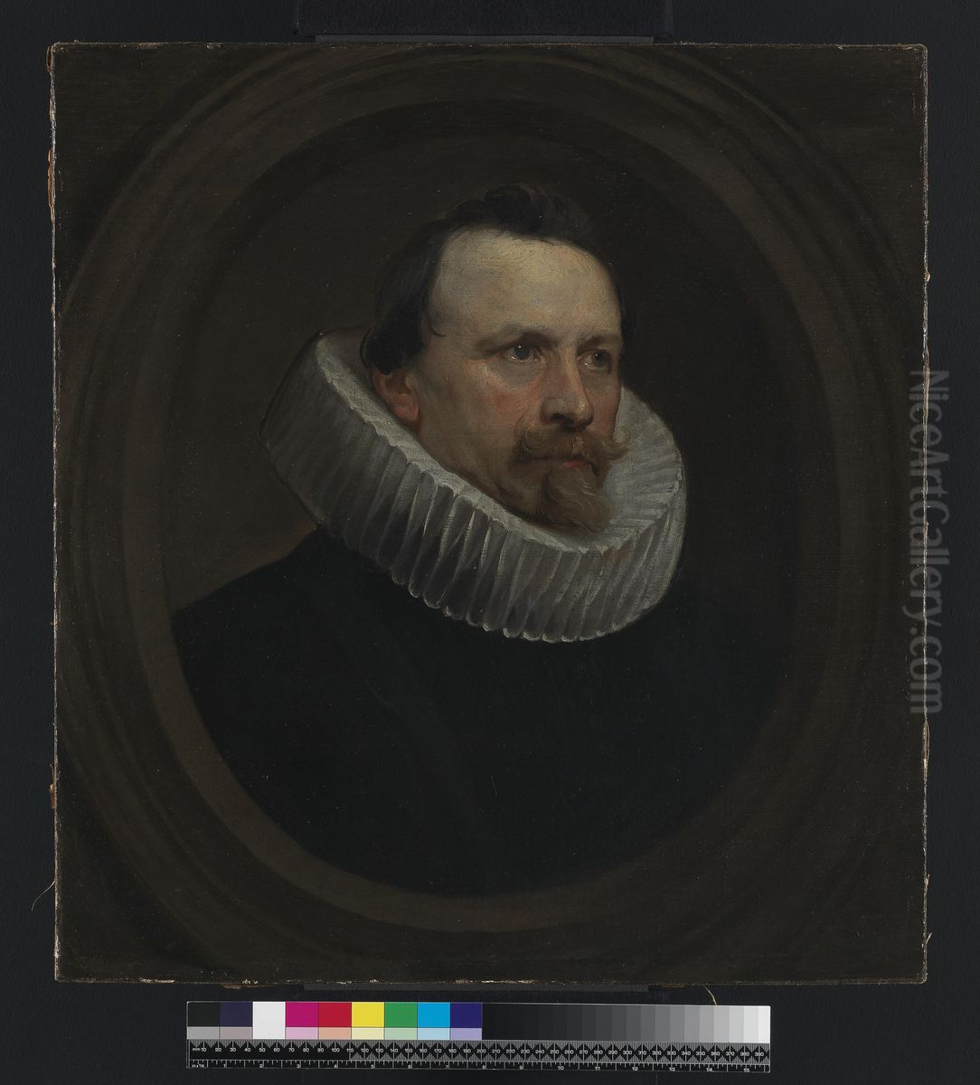 Portrait of a man Oil Painting by Sir Anthony Van Dyck