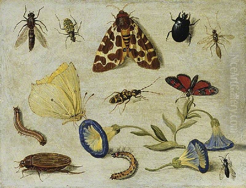Insects Oil Painting by Jan van Kessel the Elder