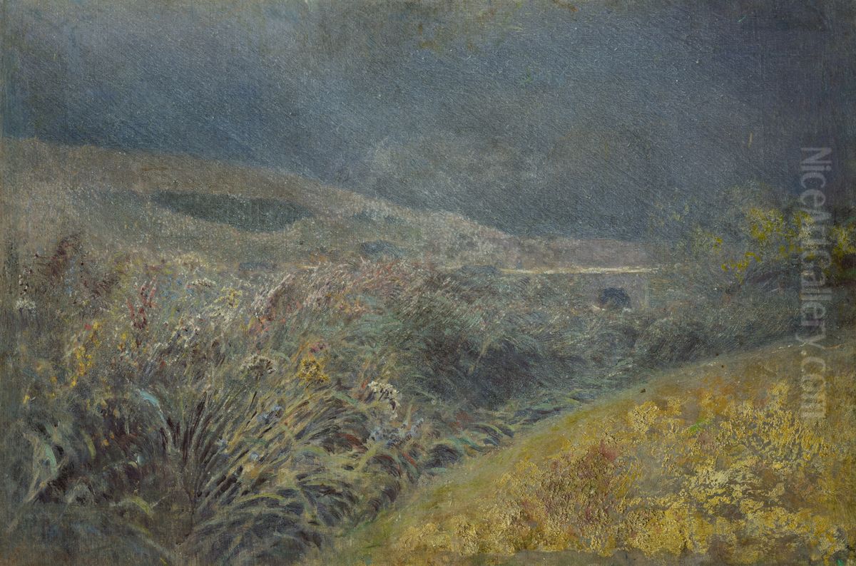 Motiv z Belianskych Tatier Oil Painting by Laszlo Mednyanszky