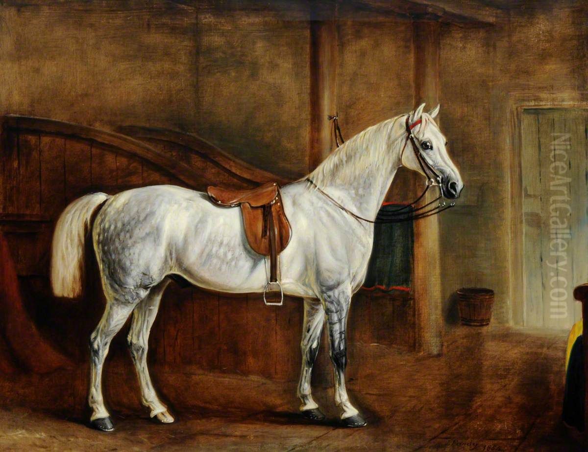 A Saddled Grey Hunter in a Loose Box Oil Painting by John Ferneley