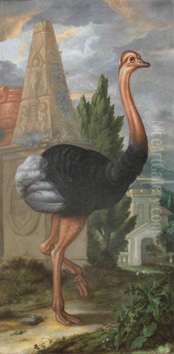 An Ostrich Oil Painting by Francis Barlow