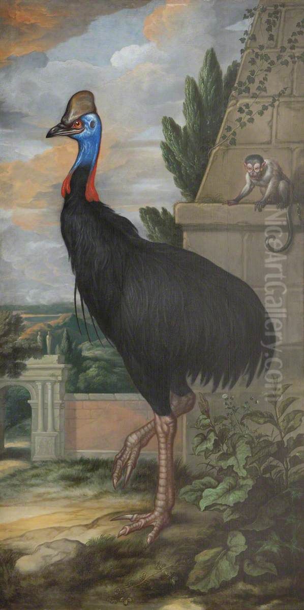 A Cassowary Oil Painting by Francis Barlow