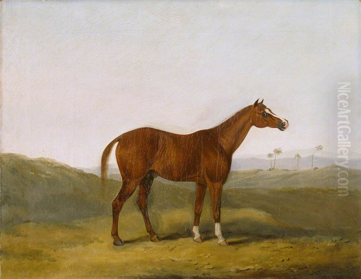 The Cole Arabian in an Indian Landscape Oil Painting by Charles Henry Schwanfelder