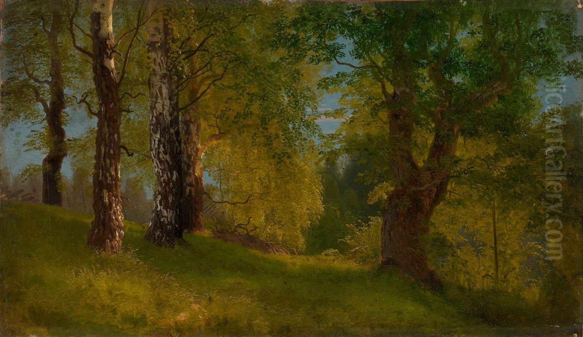 Skogstudie Oil Painting by August Cappelen