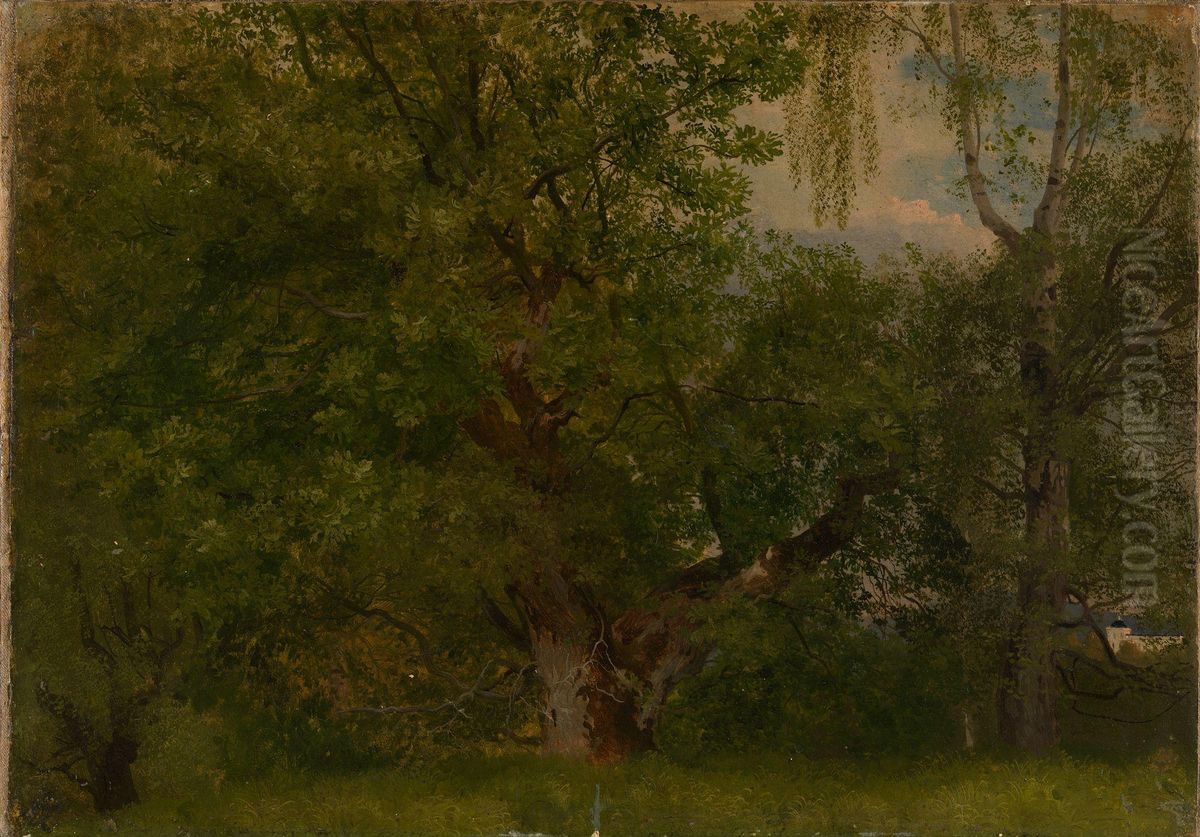 Wood near Ulefoss Oil Painting by August Cappelen