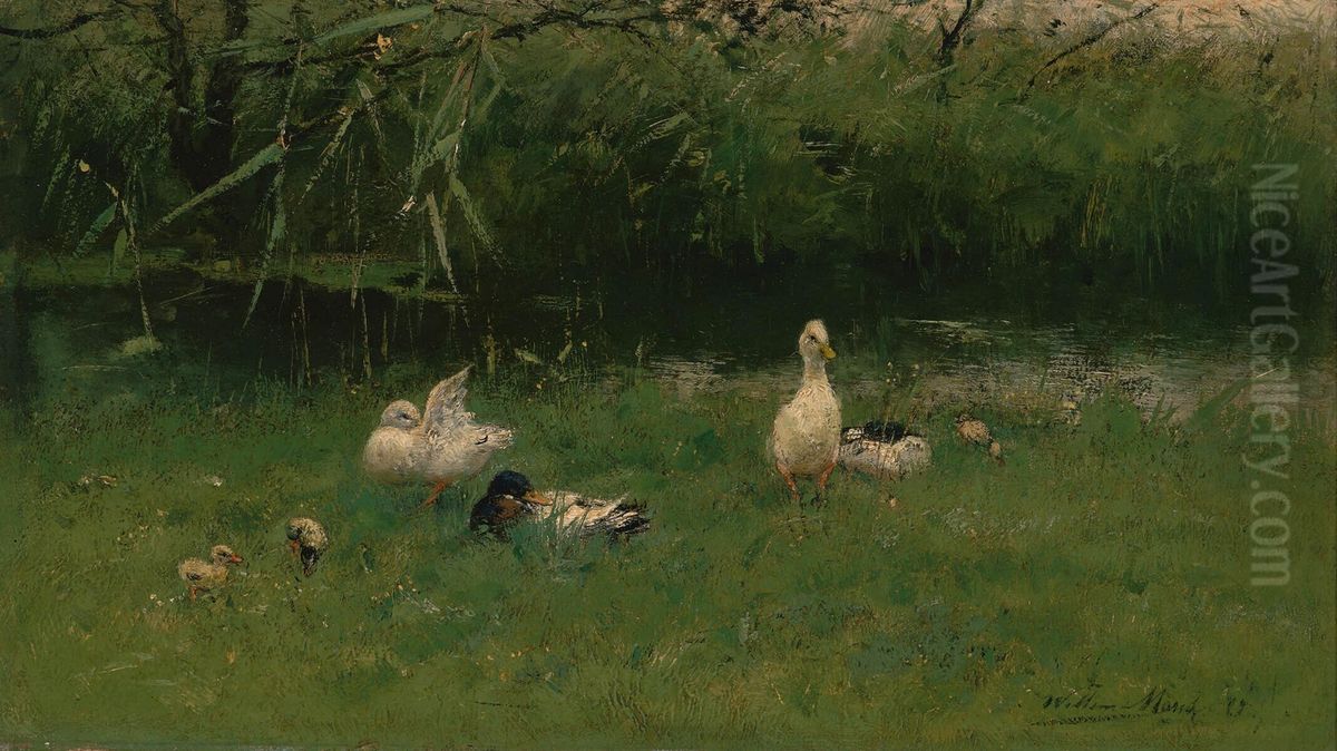 Ducks in the Grass near a Ditch Oil Painting by Willem Maris