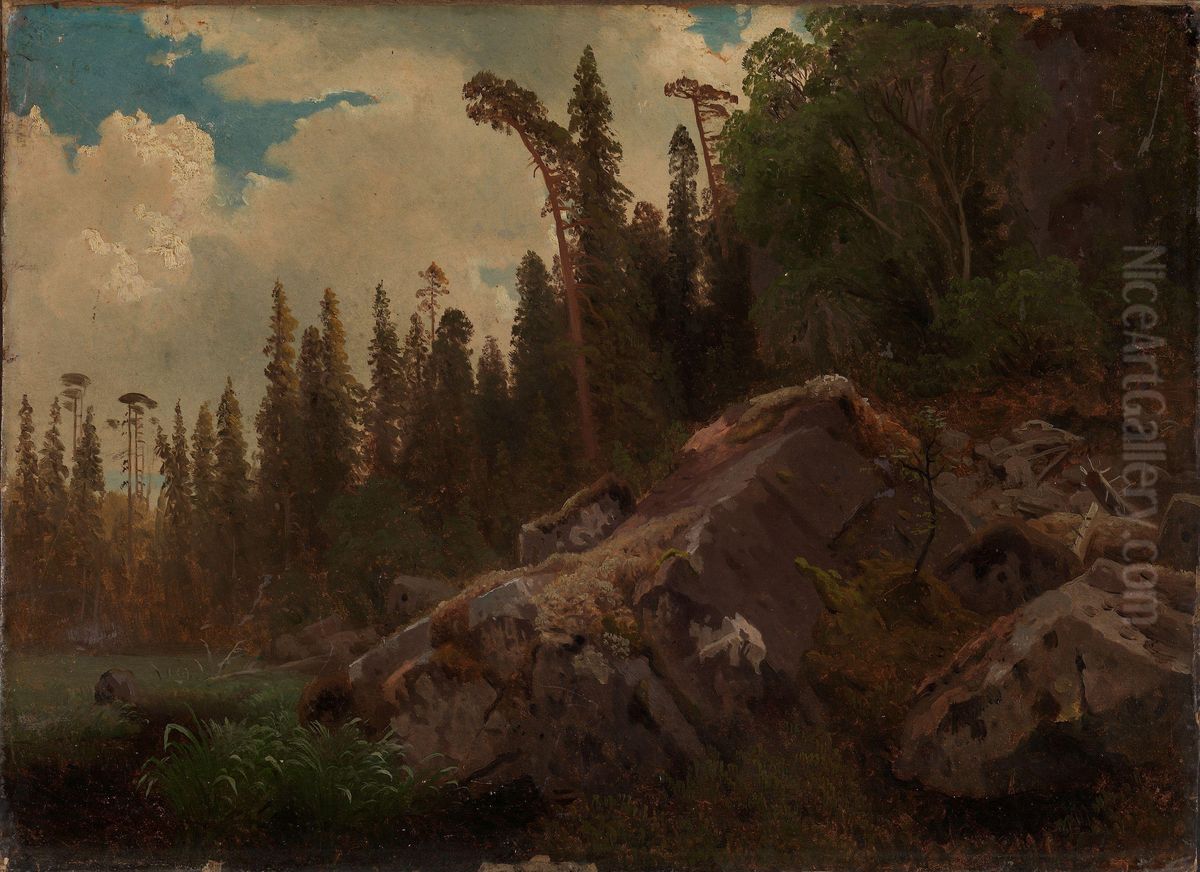 Landscape Study with Trees and Rocks Oil Painting by August Cappelen