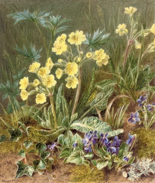 Where Oxlips And The Nodding Violet Grows Oil Painting by Marian Emma Chase