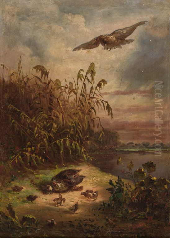 A Galinha de Pintos e o Gaviao Oil Painting by unknown