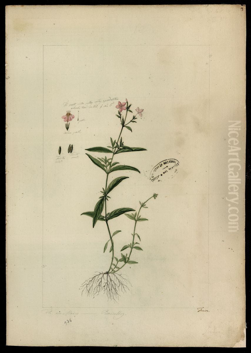 (Sipanea) Oil Painting by Jose Joaquim Freire