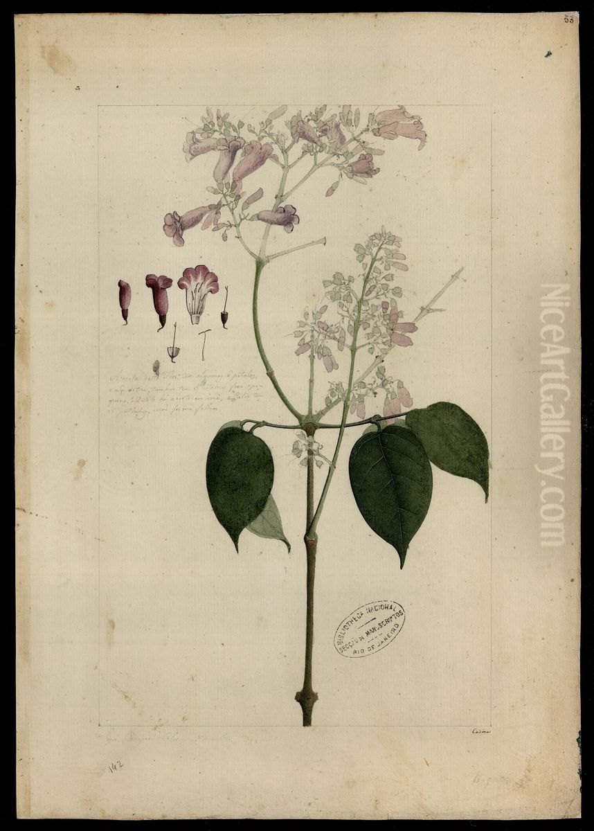 (Bignoniaceae) Oil Painting by Joaquim Jose Codina