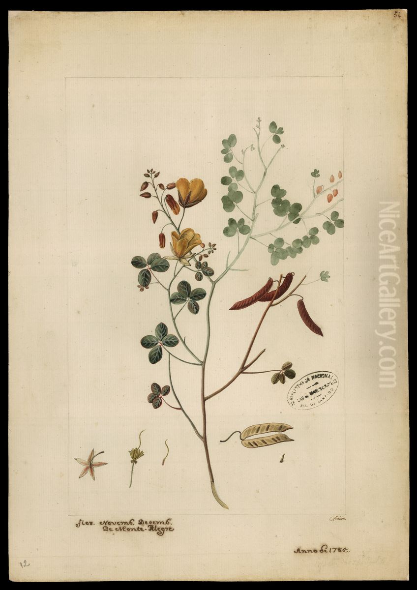 (Eichhornia) Oil Painting by Jose Joaquim Freire