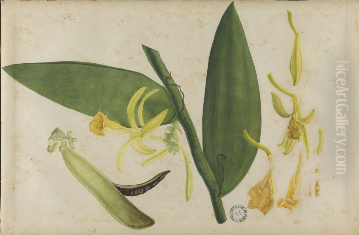 (Folhas e flores) Oil Painting by Jose Carlos dos Reis Carvalho