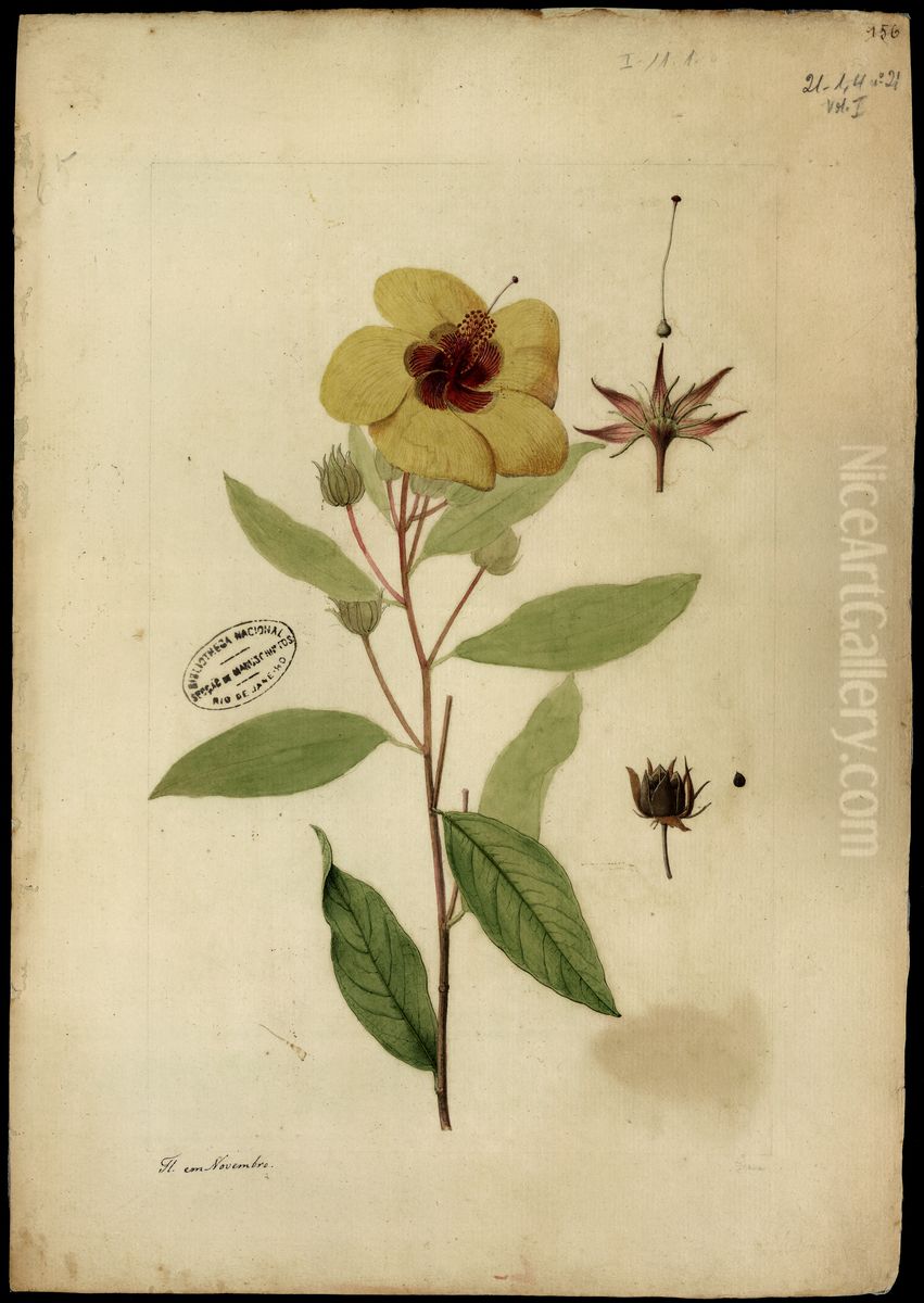 (Hibiscus) Oil Painting by Jose Joaquim Freire