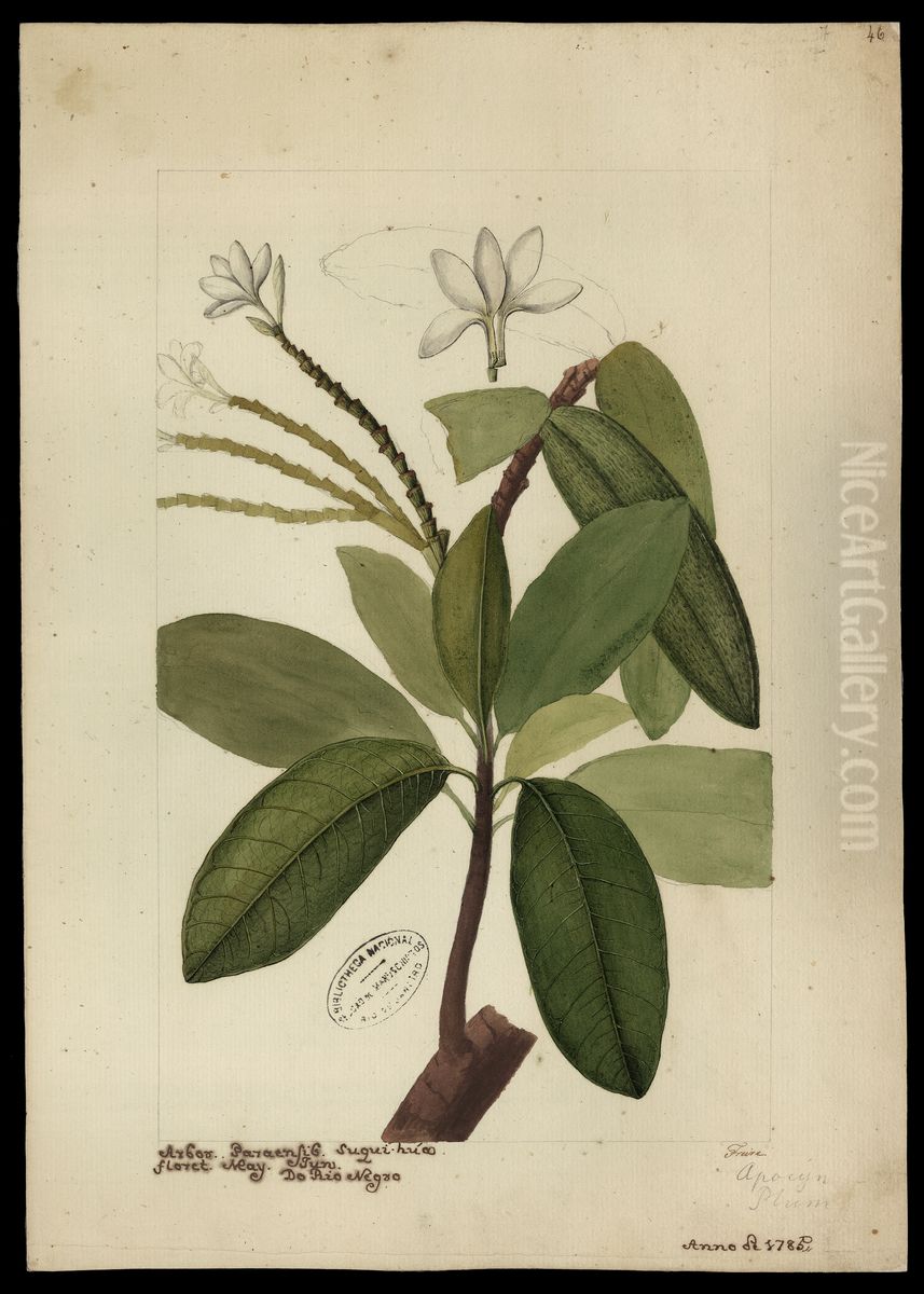 (Himatanthus sucuuba, Woods) Oil Painting by Jose Joaquim Freire