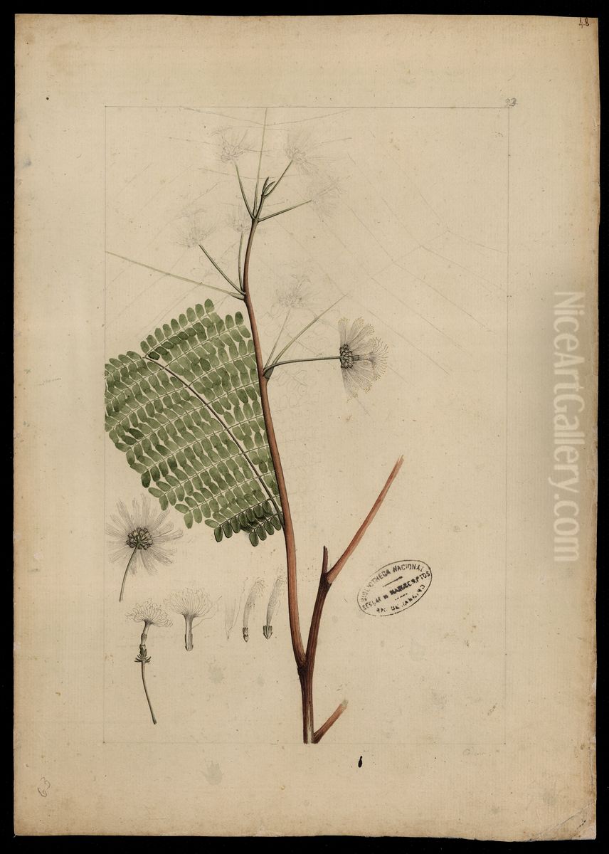 (Inga) Oil Painting by Joaquim Jose Codina