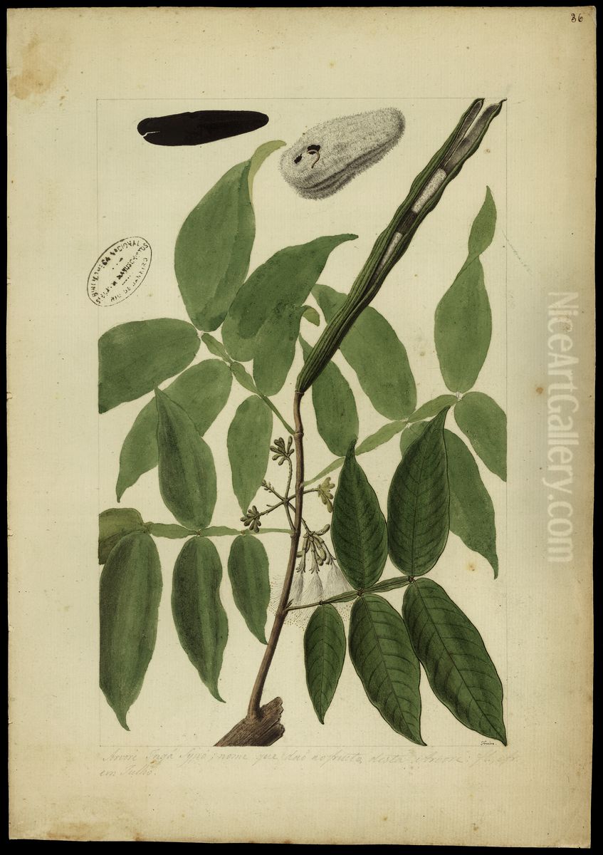 (Inga) Oil Painting by Jose Joaquim Freire