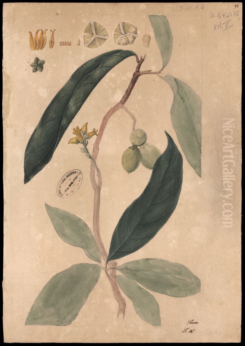 (Payparola) Oil Painting by Jose Joaquim Freire