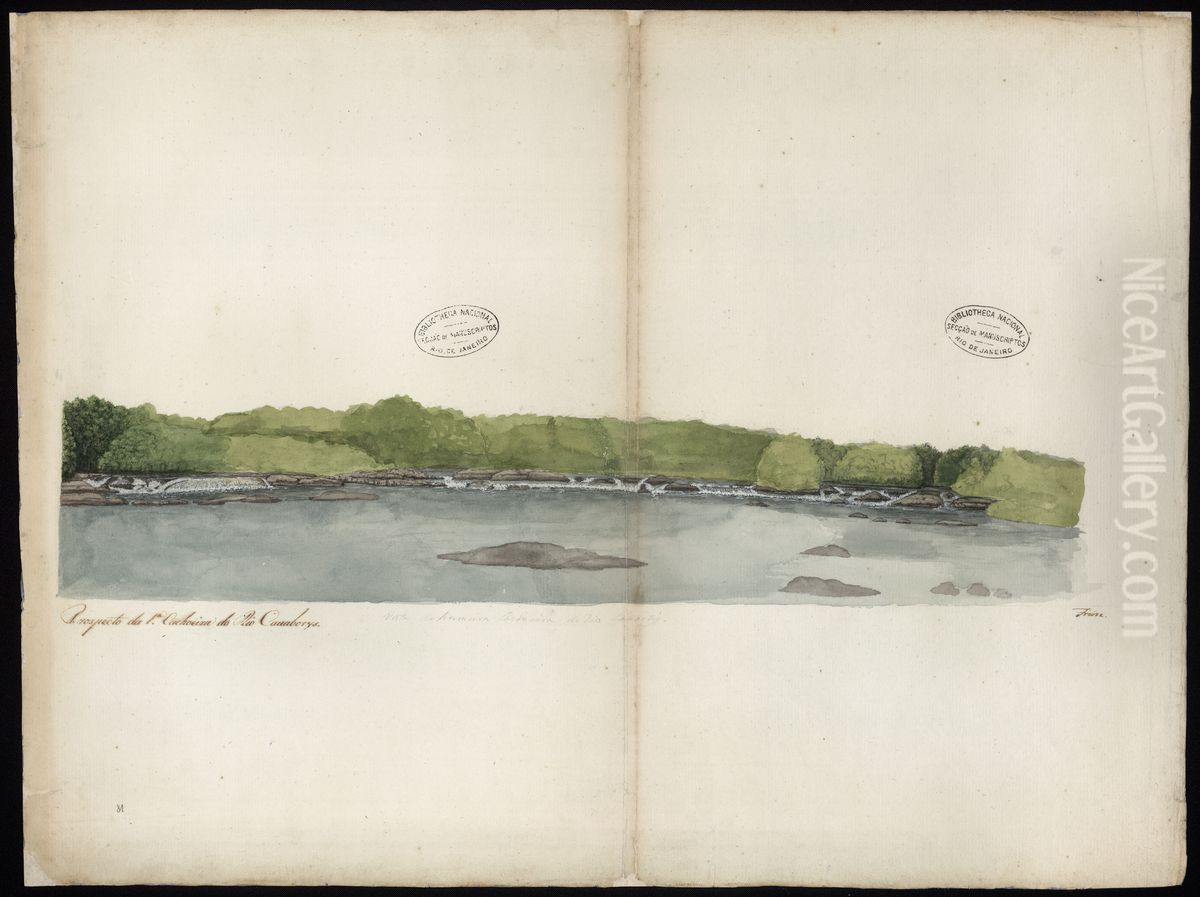 Prospecto da 1a cachoeira do Rio Cauaborys Oil Painting by Jose Joaquim Freire