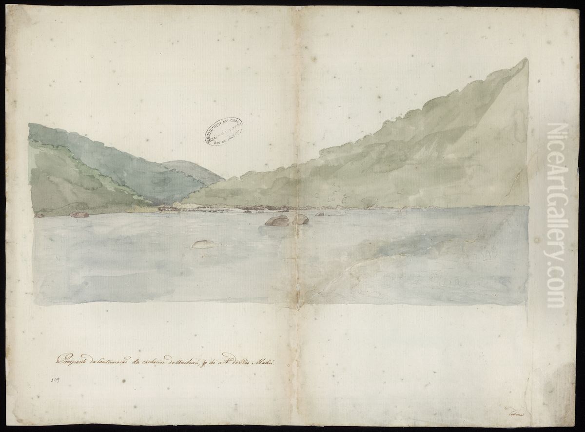 Prospecto da continuacao da cachoeira do Uruburu, que he a 4. do Rio Mahu Oil Painting by Joaquim Jose Codina