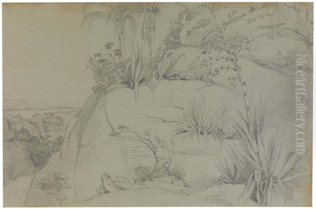 Rock plants Oil Painting by Charles Landseer