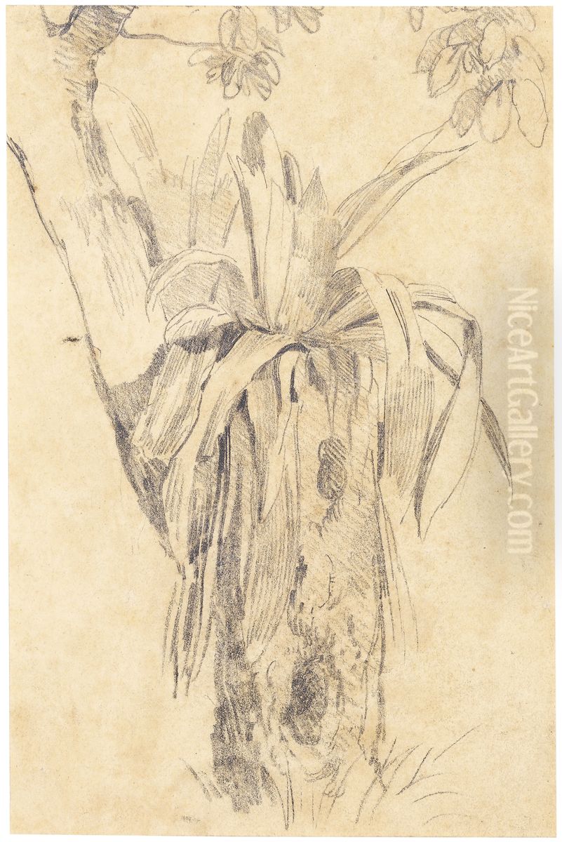 Parasitical Plant Oil Painting by Charles Landseer