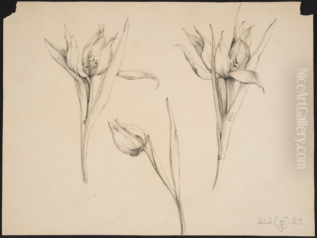 drawing by Philippe Wolfers , KBS-FRB, D2017.023.019.011 Oil Painting by Philippe Wolfers