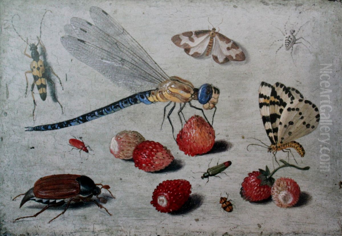 A Dragon-fly, two Moths, a Spider and some Beetles, with wild Strawberries Oil Painting by Jan van Kessel the Elder