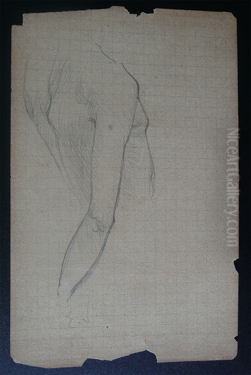 Dorso de mulher - Estudo para 