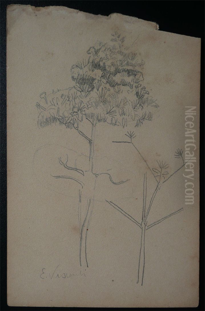 Arbustos - Desmembrado de um caderno de anotacoes Oil Painting by Eliseu Visconti