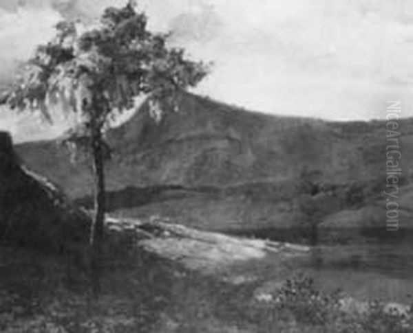 Riacho e canoa (atribuido), da colecao Museu Historico Nacional Oil Painting by Levino Fanzeres