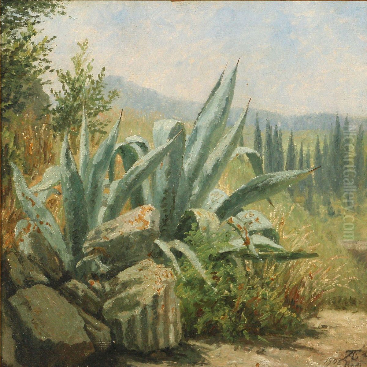 Agaver Fra Palatinum I Rom Oil Painting by Anthonie, Anthonore Christensen