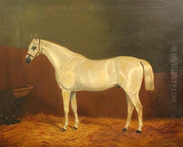 White Horse In A Stable Oil Painting by A. Clark