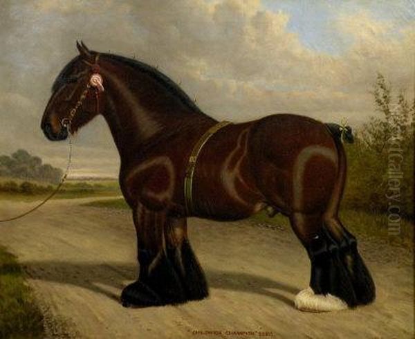 'a Portrait Of The Shire Horse 'childwick Champion' 22215' Oil Painting by William Clark Of Greenock