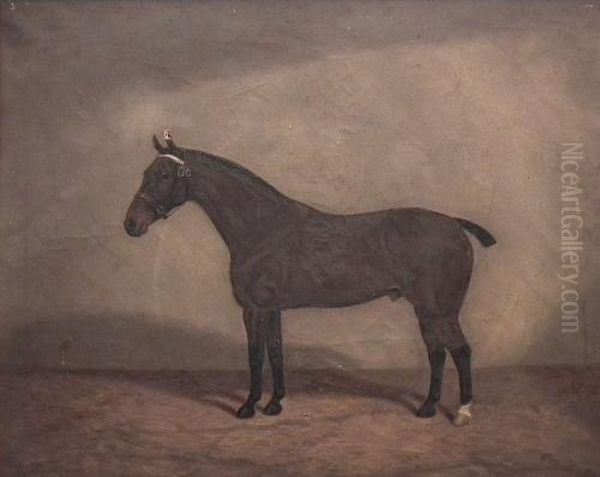 Portrait Of ABay Horse In A Stable Oil Painting by William Clark Of Greenock