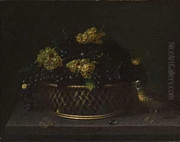 Grive Pres D'un Panier De Raisins Avec Escargot, Mouche Et Libellule. Oil Painting by Francesco Codino