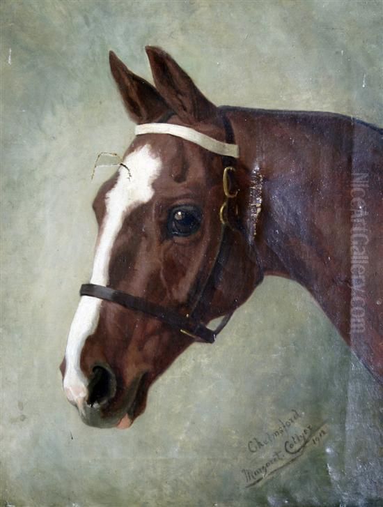 Portrait Of A Horse 'chelmsford' Oil Painting by Margaret Collyer