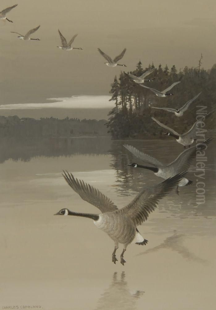 Geese In Flight Oil Painting by Charles George Copeland