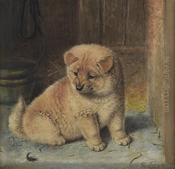 A Strange Visitor, A Chow Chow Puppy Oil Painting by Horatio Henry Couldery