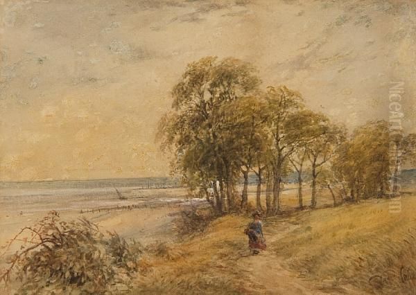 Figure On A Coastal Path Oil Painting by David Cox