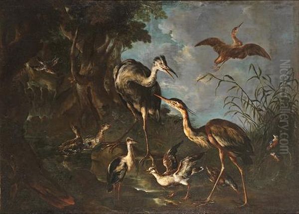 A Wooded Landscape With Heron, Kingfishers,ducks And Moorhens Beside A Pool Oil Painting by Giovanni Crivelli, Il Crivellone