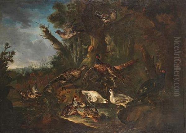 A Wooded Landscape With French Partridges,jays, Pheasants And Woodcocks Oil Painting by Giovanni Crivelli, Il Crivellone
