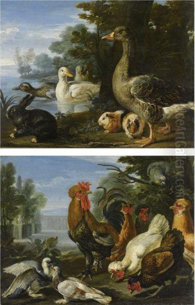 Galli, Colombe E Un Pappagallo Oil Painting by Giovanni Crivelli, Il Crivellone