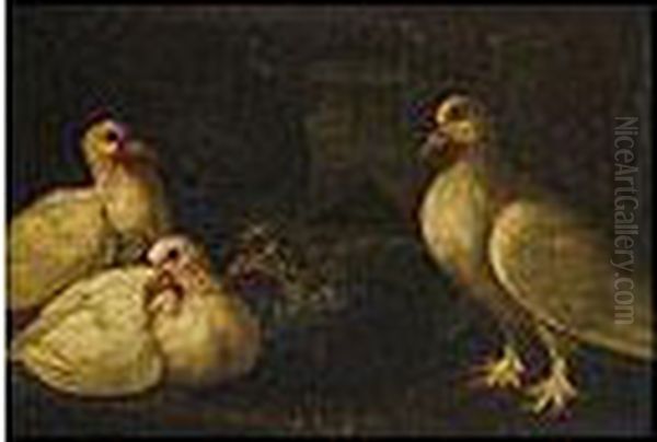 Par De Bodegones Con Palomas Y Pichones Oil Painting by Giovanni Crivelli, Il Crivellone
