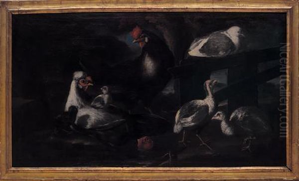 Animali Da Cortile Oil Painting by Angelo Maria Crivelli, Il Crivellone